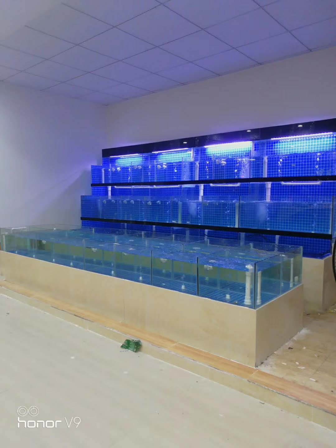 广州新垦海鲜市场定做制冷鱼池，南沙区制冷海鲜玻璃鱼缸做，海水鱼池定做价格
