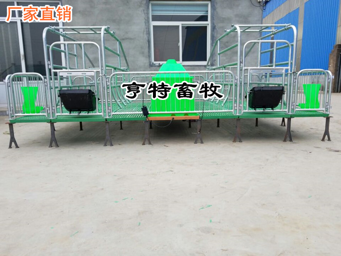 贵州六盘水养猪设备生产厂家出售双体复合产床