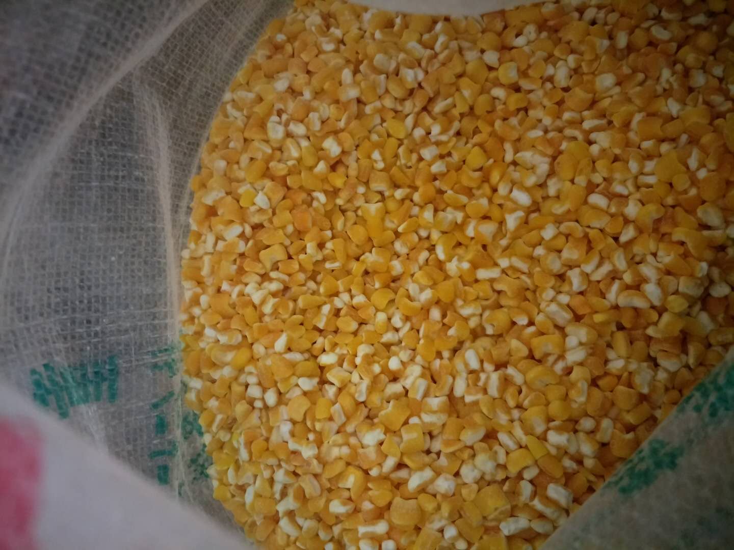 宁安玉米种植