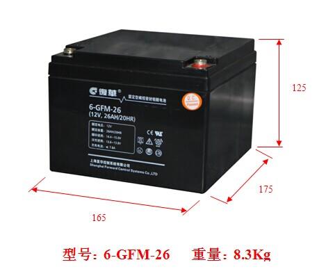 复华蓄电池6-GFM-80 12V80AH/20HR 整体电源解决方案