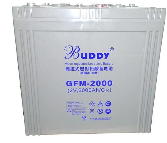 BUDDY蓄电池6-GFM-24阀控密封式铅酸12V24AH