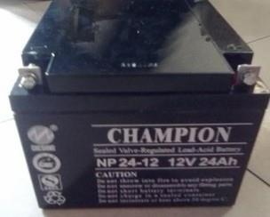 销售CHAMPION蓄电池NP90-12 智能电池成员之一