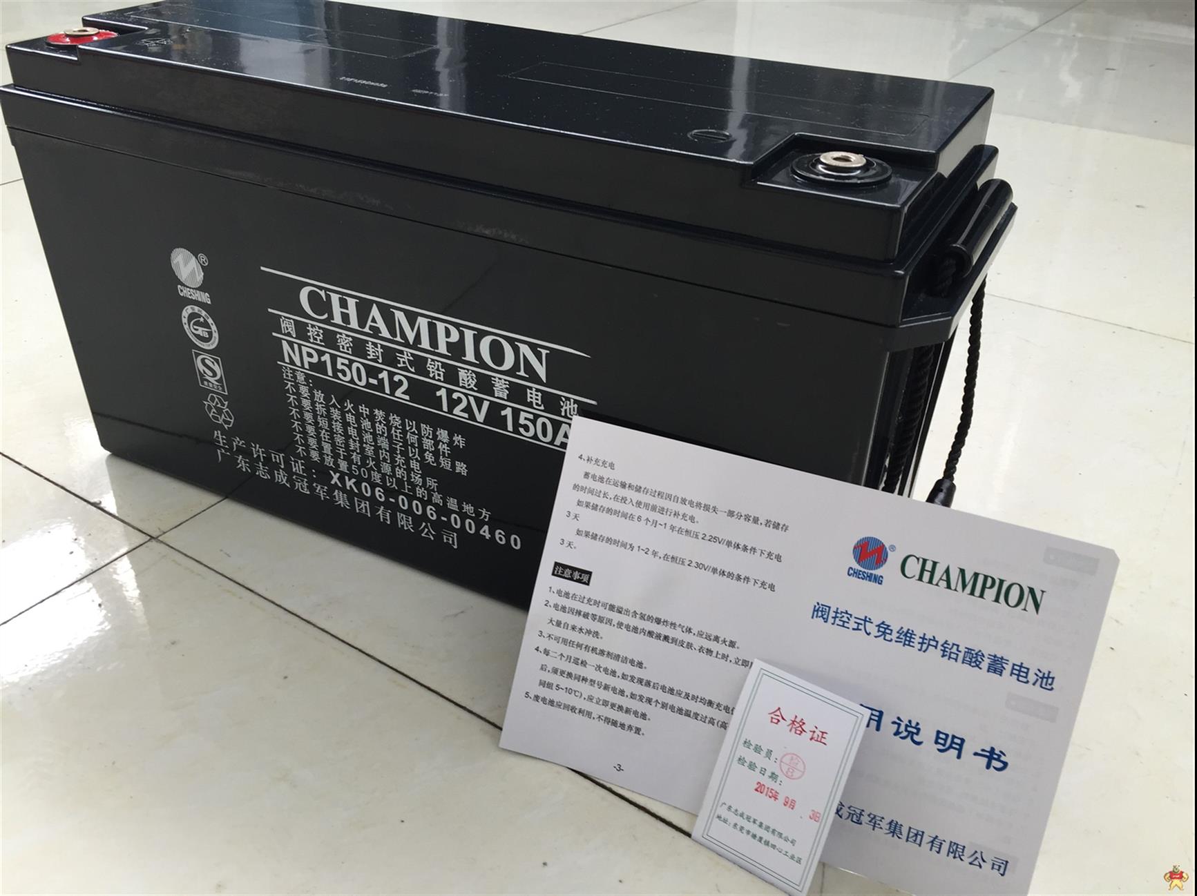 国产CHAMPION蓄电池GFM200-2