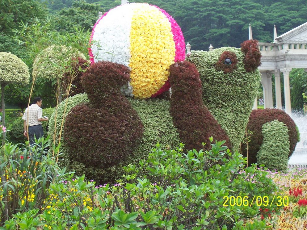 新园五色草立体造型-熊猫001