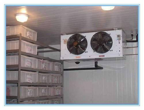 广州大型冷库 冷库设计 提供免费报价 中冷制冷