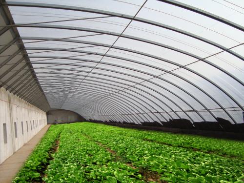 豪达瑞科日光温室建设 大规模反季节蔬菜瓜果种植 **全国质保