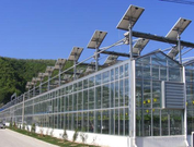智能连栋玻璃温室|玻璃温室建设|园区规划项目申报|无土栽培