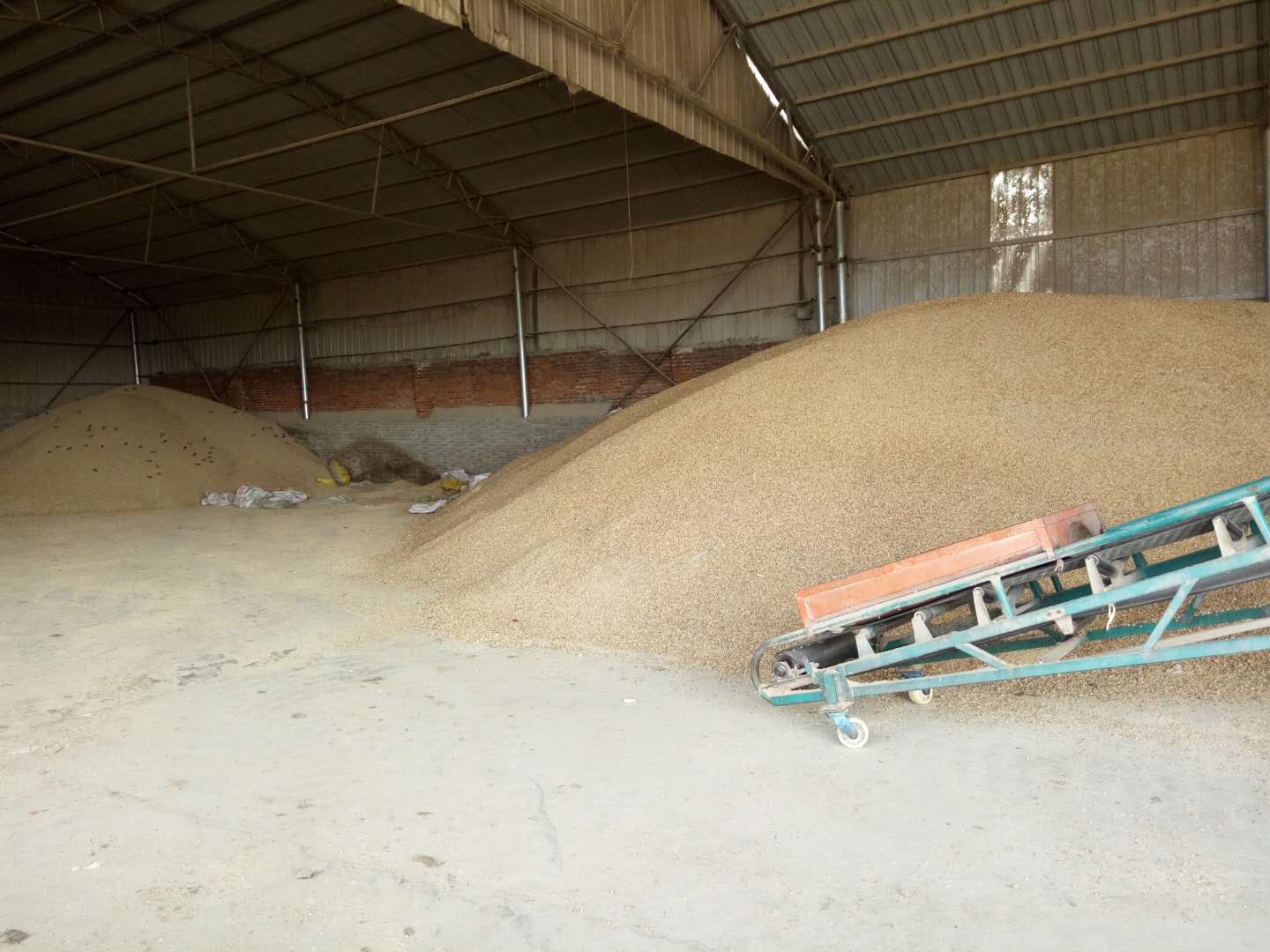 社旗县小麦种植基地