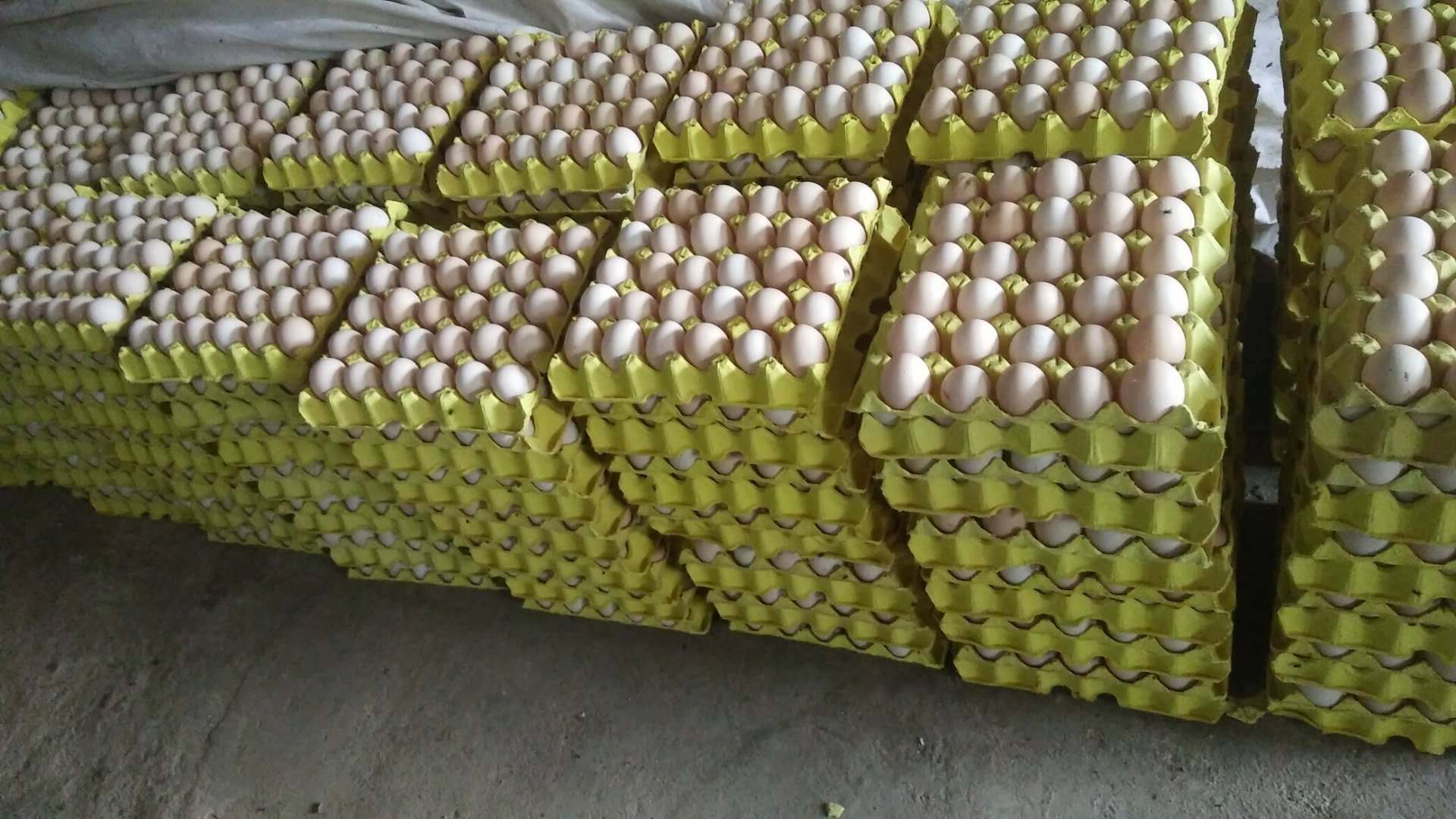 鸡蛋的作用