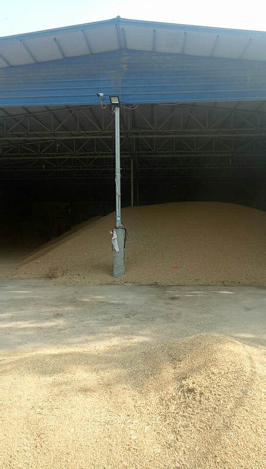 平舆县西洋店高魁农业种植专业合作社 农产品销售 小麦 仓库
