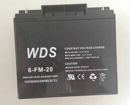 WDS蓄电池6-FM-24 12V24AH参数报价