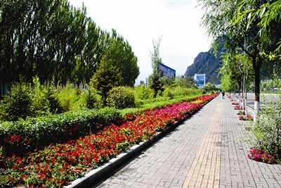 私有企业 企业类型:服务型 注册地:山东省青州市 主营产品:厂区绿化