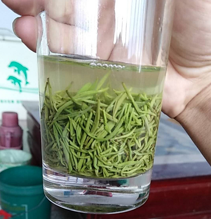 信阳毛尖多少钱一斤？*解析当季茶叶市场