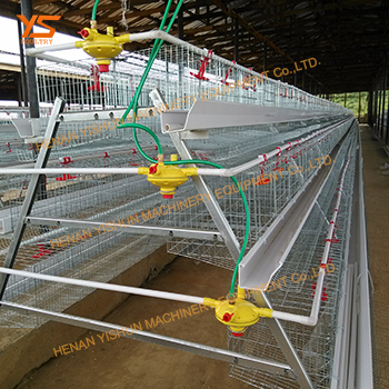 饮水器 自动化养殖设备 鸡饮水设备