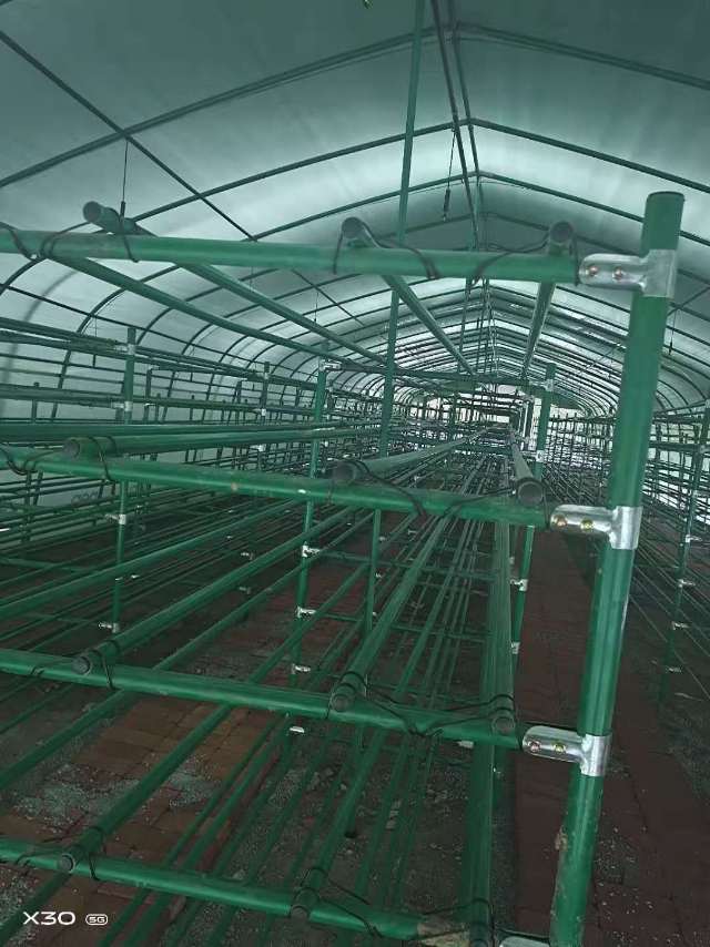 蔬菜育苗床/移动式苗床/种植养生蔬菜技巧