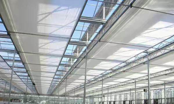温室内遮阳-铝箔遮阳网性能与特点