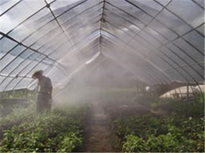 果园全自动温室喷雾加湿系统