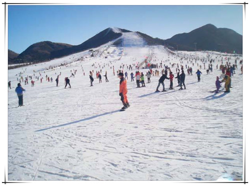 滑雪场制冷设备 维温系统 优质厂家 就选中冷