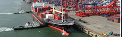 天鸣国际提供专业进口海运代理服务，用心服务于客户