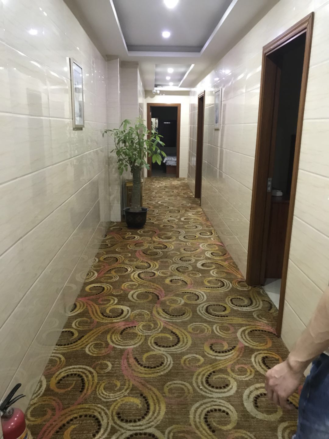 办公楼地毯清洗，酒店地毯清洁，KTV地毯清洗--广州南洋保洁