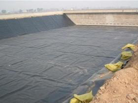 河南省H25mm高排水板销售、高50mm绿化蓄排水板//2019价格一览