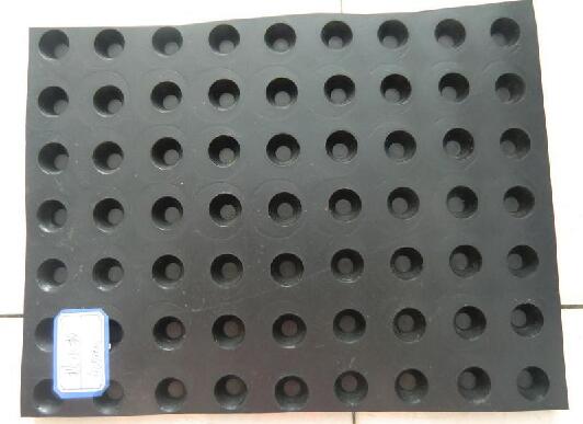 销售：20mm车库**板排水板—柳州—HDPE塑料防水板；供应