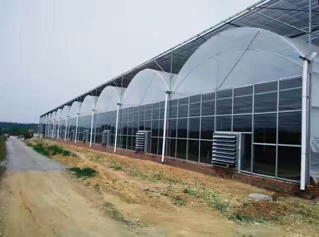 北京小型北京温室遮阳开窗传动系统材料出租