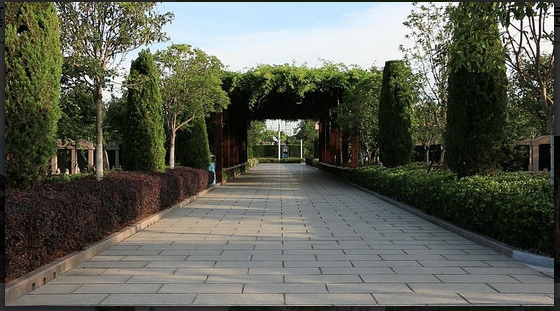 上海墓地品牌就选上海琛钰上海墓地，成就上海公墓行业领**牌