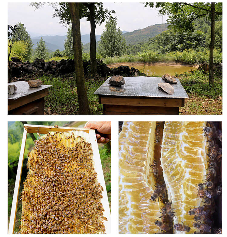 大山深处的**蜂蜜，无添加，纯**，久违的味道，湖南省养蜂协会会长较力推荐！