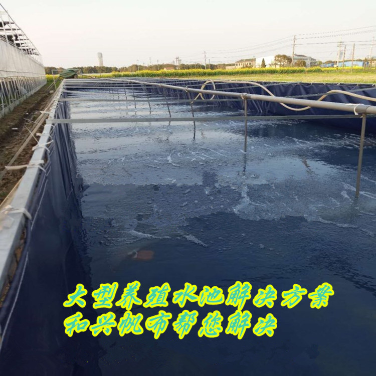 浙江大型水产养殖基地用帆布水池 养虾布水池 对下养殖池