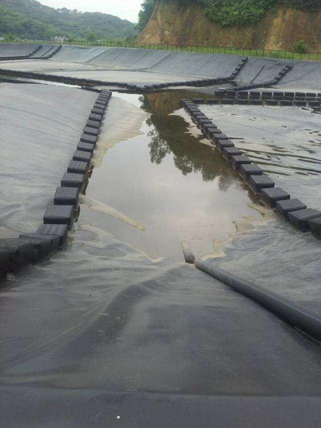 揭阳猪场沼气池建设 专业养殖沼气池