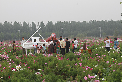 河北省沧州市兴丰农场一个实现田园梦想的休闲度假庄园
