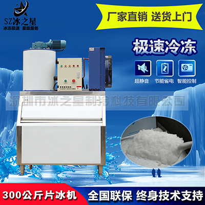 日产300公斤片冰机0.3吨超市酒店自助餐厅海鲜水产冰鲜冷藏商用制冰机