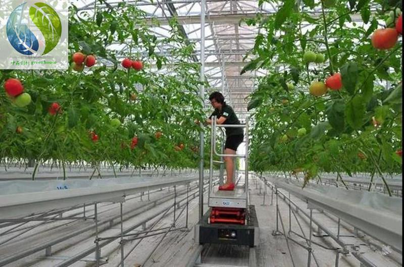 广州西红柿吊蔓立体种植系统栽培槽报价
