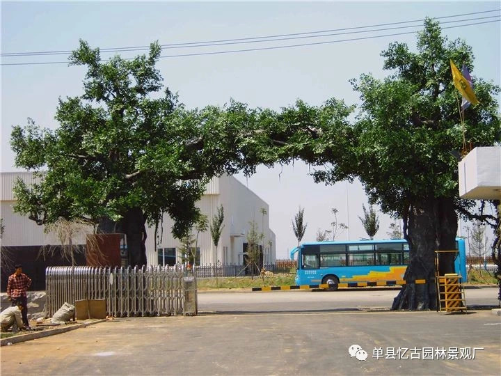 电动大门假树促销 安庆现货大门假树 适用于采摘场所