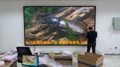 买河南郑州led显示屏产品什么较重要