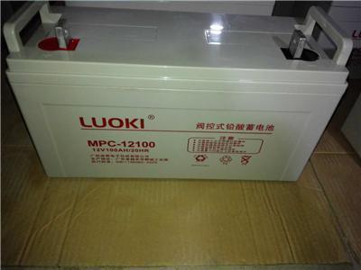 LUOKI洛奇蓄电池型号