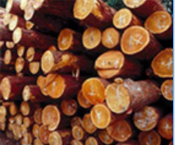 防霉剂 长效木材防霉剂