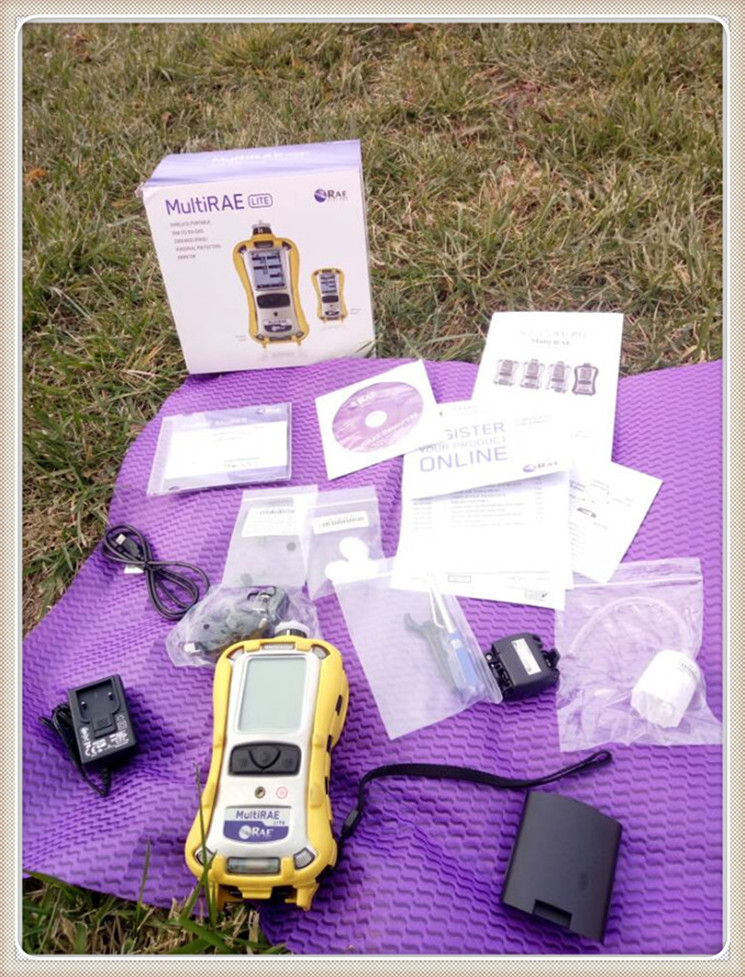 六合一有害气体/射线检测仪华瑞PGM-62X8 气体可组合