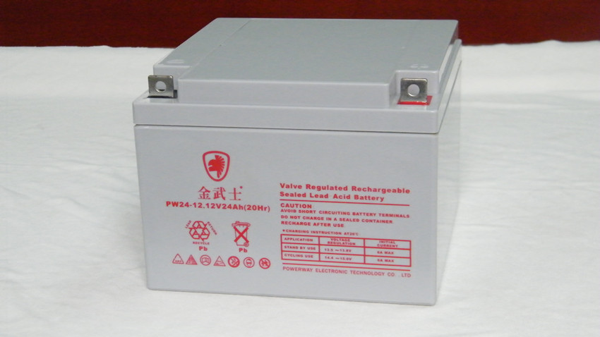 金武士蓄电池PW24-12/12V24AH详细尺寸规格