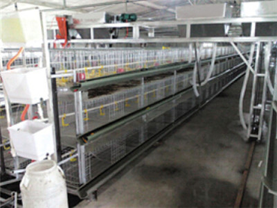 伟杰农牧设备提供优惠的层叠式鸡笼 标准化蛋鸡全套设备