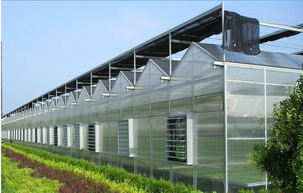 陕西温室阳光板|江苏口碑好的温室大棚阳光板