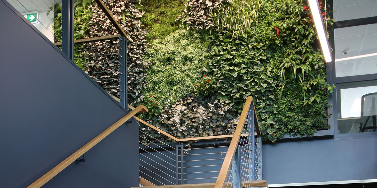 植物墙的广泛使用让环境变得更加美好