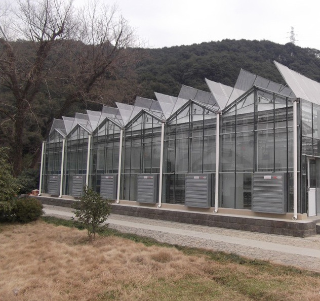 江苏江阴这个玻璃温室大棚也就是我公司来建 刮风不透下雨不漏