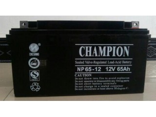 吉林冠军NP65-12蓄电池国内热销中