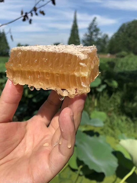 憨友农社蜂蜜来自大深山崀山，产出原滋原味的土蜂蜜