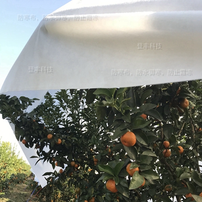柑橘保护覆盖布