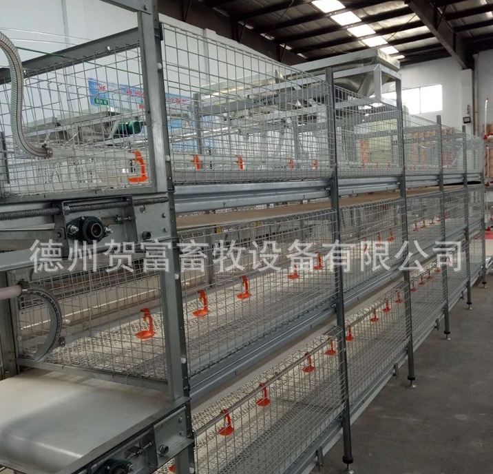 养猪场设备猪用不锈钢干湿喂料器育肥猪用自动下料器