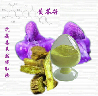 黄芩苷85生产商山西瑜莱生物工艺技术及理化性质