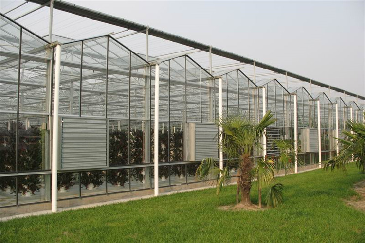 四季种植采摘玻璃温室大棚抗50公分雪骨架建设厂家